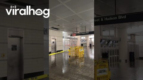 Flooding Subway Station in New York City || ViralHog
