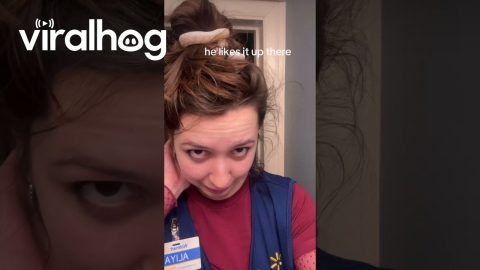 Snake Becomes My Scrunchie || ViralHog