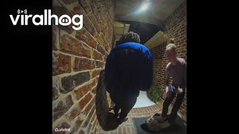Helping The Dasher Down Icy Driveway || ViralHog