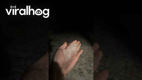 Freezing Rain During Winter Storm In Texas || ViralHog