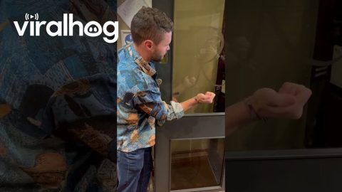 Sharpie Through a Glass Door Magic Trick || ViralHog
