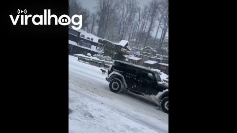 Skier Pulled By Dogs Through Downtown Gatlinburg || ViralHog