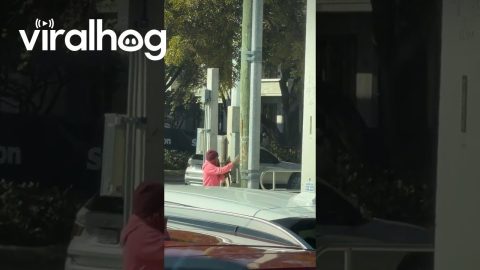 Woman Warms Iguana in Florida || ViralHog