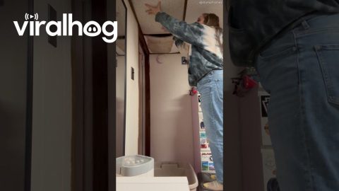 Melted Snow Ceiling Water Goes in Mouth || ViralHog