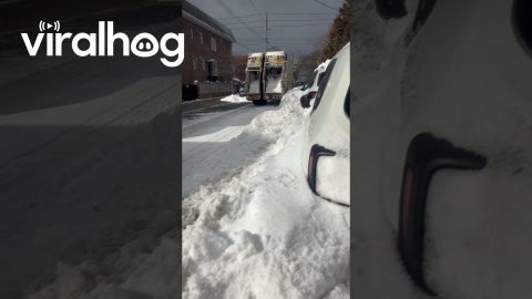 Snowplow Buries New Yorker's Car || ViralHog