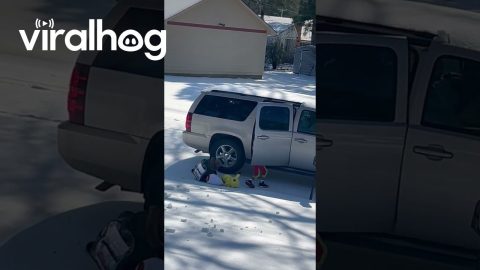 Twins Underestimate Icy Driveway || ViralHog