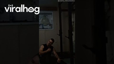 Lifting Strap Breaks Under Heavy Load || ViralHog