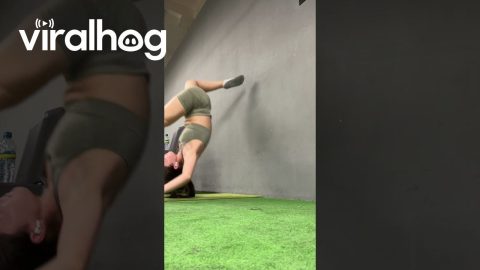 Woman's Handstand Fail Breaks Wall || ViralHog