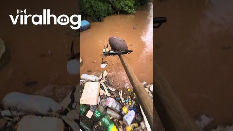 Eco Barrier Created to Clean the River || ViralHog