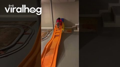 Toddler's Toy Roller Coaster || ViralHog