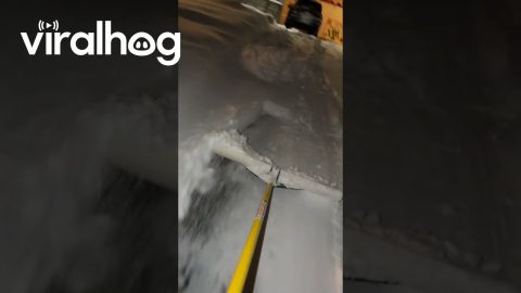 Minnesota Neighbor Has a Snow-Clearing Robot || ViralHog