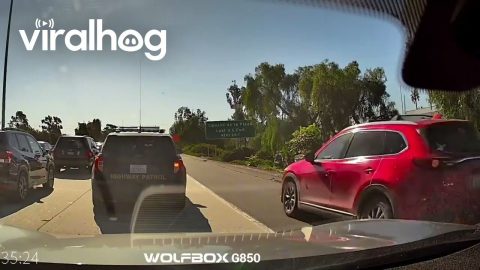Cutter Tried to Save Time Crossing Into Mexico and Got Caught by the Police || ViralHog