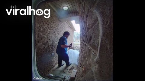 Delivery Driver Slides Down Snow Mound || ViralHog