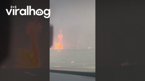 Trees Next to Louisiana Interstate on Fire || ViralHog