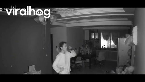 Dog Spooks Woman In the Middle of the Night || ViralHog
