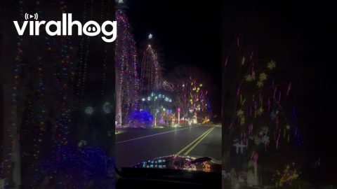 Christmas in King of Prussia Pennsylvania || ViralHog