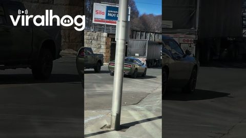 Truck Tries To Squeeze Under Bridge As Train Passes Overhead || ViralHog