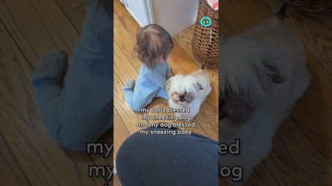 Baby Blesses Sneezing Dog || ViralHog Shorts