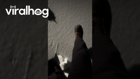 Stress Fracture Footsteps In Thin Ice Over Snow || ViralHog