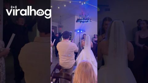 One Wedding, Two Love Stories || ViralHog