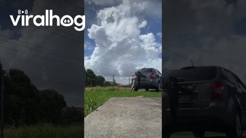 Woman Pushes Car Before Falling Over || ViralHog