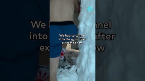 Tunneling To The Gym After Extreme Snowfall || ViralHog Shorts