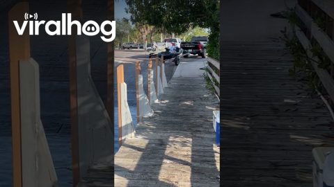Boat Ramp Fail || ViralHog