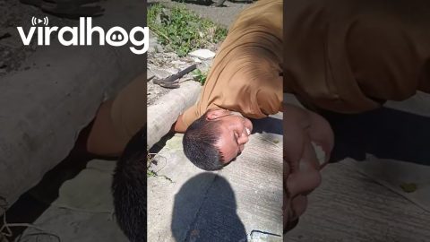 Rescuing a Puppy Trapped in a Drain || ViralHog