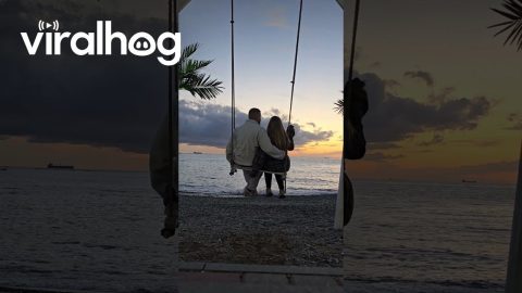 Swing Ride Has Other Plans for Aesthetic Couple || ViralHog