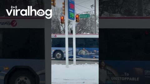Turkey Rides the City Bus || ViralHog