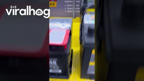 Price Sign Hammered Through Battery || ViralHog