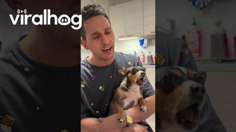 Dad and Dog Dramatic Duet || ViralHog