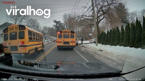 School Bus Drives Around a Stopped School Bus || ViralHog