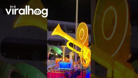 Aldo De Nigris Falls at the Mazatlán Carnival || ViralHog