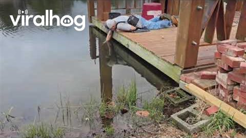 Fisherman Lugs Fat Bass To Shore By Hand || ViralHog