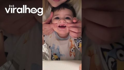 Baby With Vampire Teeth || ViralHog