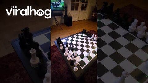 Checkmate Detecting Beer Delivery Robot || ViralHog