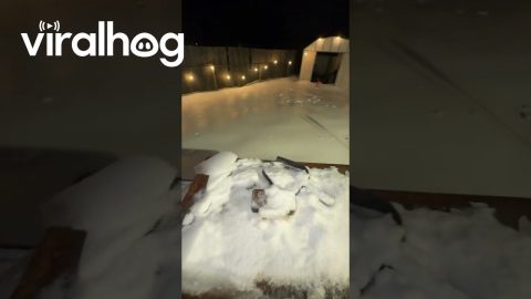 Satisfying Shattering Of Tossed Ice Sheet || ViralHog