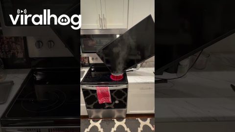 Boiling My TV Because I Have Fee Will || ViralHog