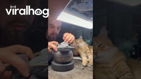 Quality Control Caught Sleeping on the Job || ViralHog