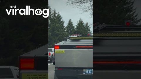 Joy at a Stoplight || ViralHog