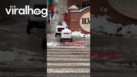 Delivery Robot Meet Cute || ViralHog