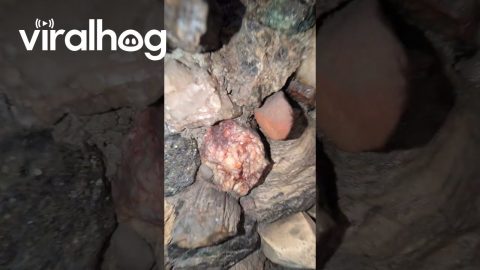 Stone Fireplace || ViralHog
