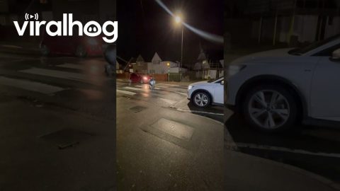 Walking Halfway Through The Pedestrian Crossing || ViralHog