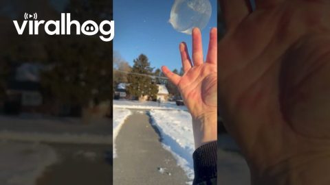 Driveway Ice Disk Smash || ViralHog