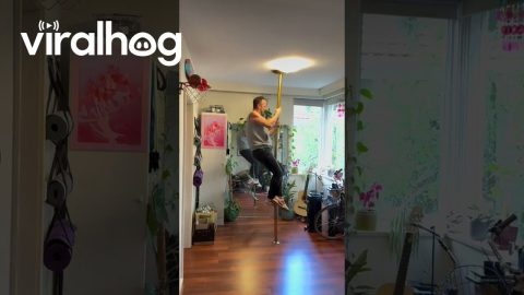 Pole Trick Crashes Through Window Without A Scratch || ViralHog