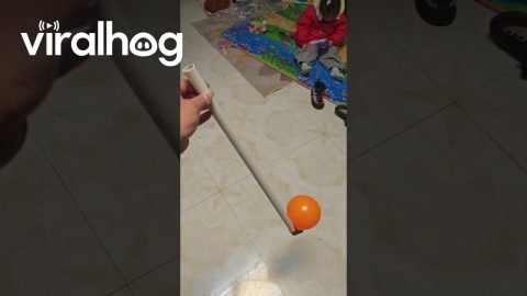 Handmade Horn || ViralHog