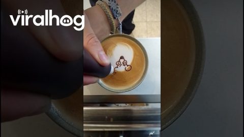 Latte Art Of Angry Rat || ViralHog
