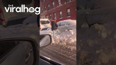 Woman Doesn't Need A Husband During NYC Snowstorm || ViralHog