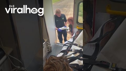 Unforeseen Circumstances Lead to Ambulance Wedding || ViralHog